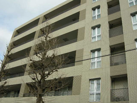 ピアース尾山台の写真 12枚目