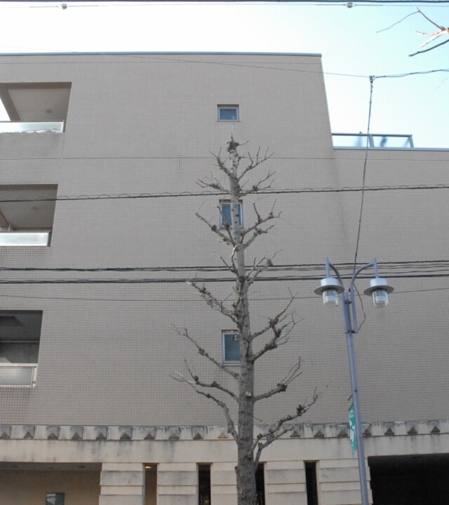 東急ドエルアルス等々力フレグランスの写真 3枚目