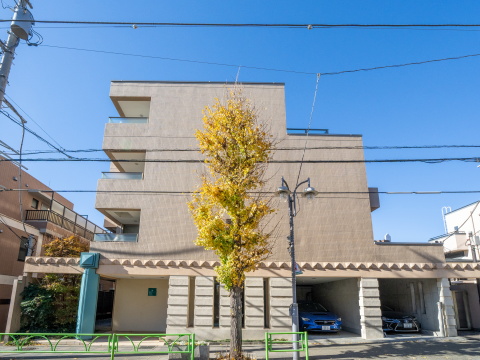 東急ドエルアルス等々力フレグランスの写真 11枚目