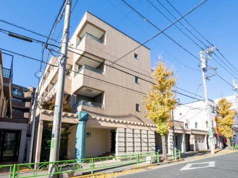 東急ドエルアルス等々力フレグランスの写真 13枚目