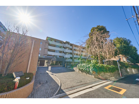 パークハウス千石丸山町の写真 13枚目