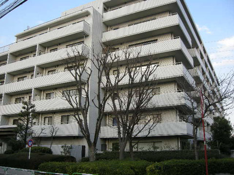 成城ガーデンホームズの写真 12枚目