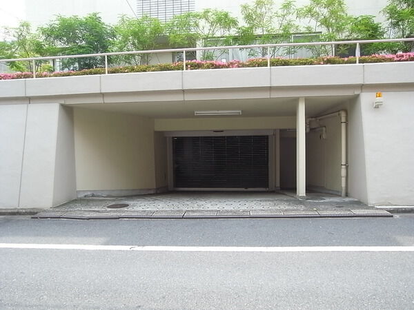 陽輪台松濤の写真 3枚目