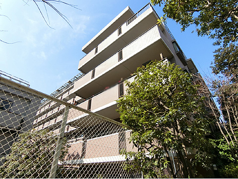 パルティール赤坂の写真 18枚目