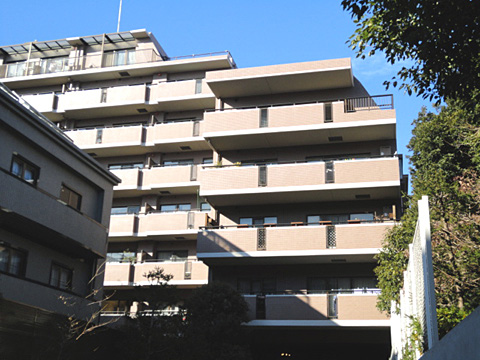 パルティール赤坂の写真 20枚目