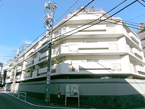 南平台アジアマンションの写真 11枚目