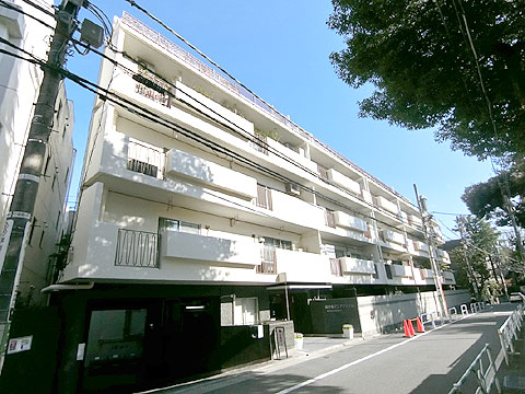 南平台アジアマンションの写真 14枚目