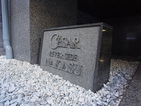 セザールリバーサイド中洲の写真 13枚目