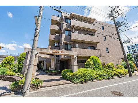 コンセール等々力の写真 16枚目