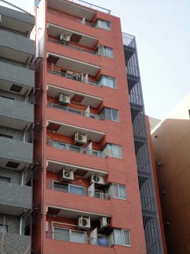 グローリア初穂音羽の写真 11枚目