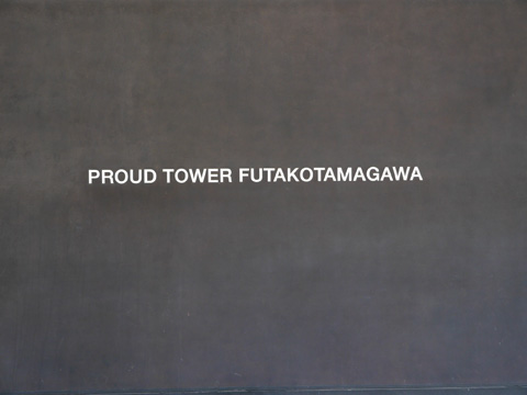 プラウドタワー二子玉川の写真 21枚目