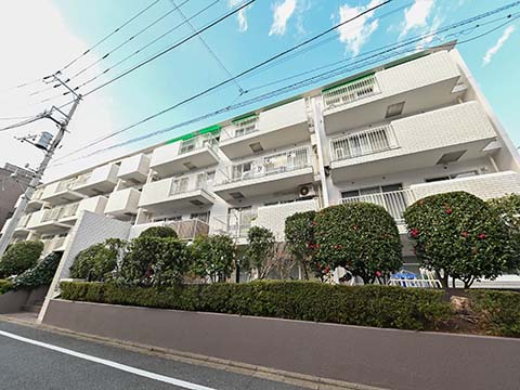 成城北フラッツの写真 11枚目