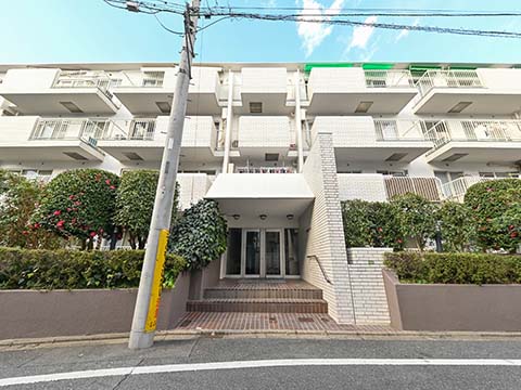 成城北フラッツの写真 13枚目