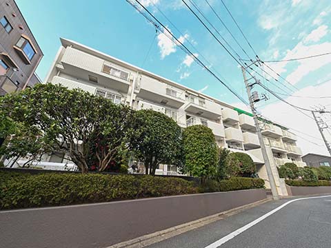 成城北フラッツの写真 14枚目