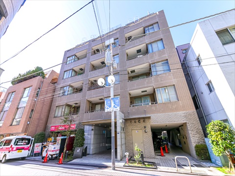 プランシェードメイツ白金の写真 11枚目