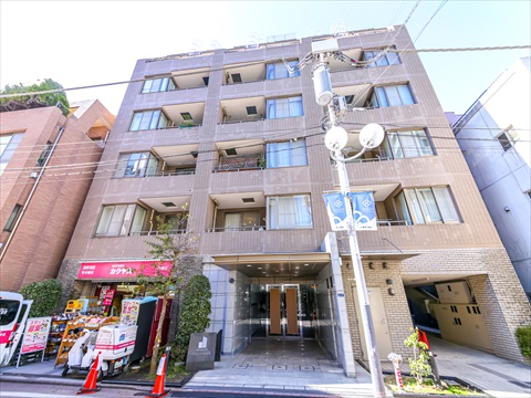 プランシェードメイツ白金の写真 12枚目