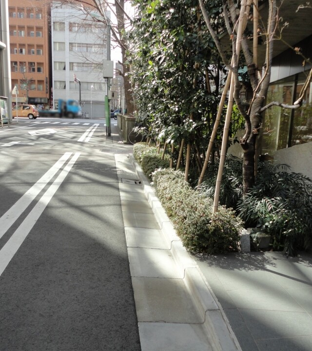 ザ・パークハウス日本橋蛎殻町の写真 10枚目