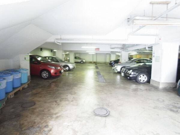 成城コンドの写真 10枚目