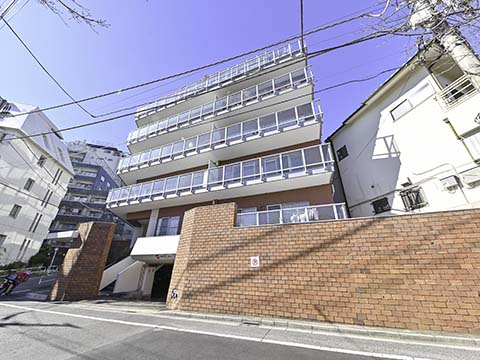 成城コンドの写真 11枚目