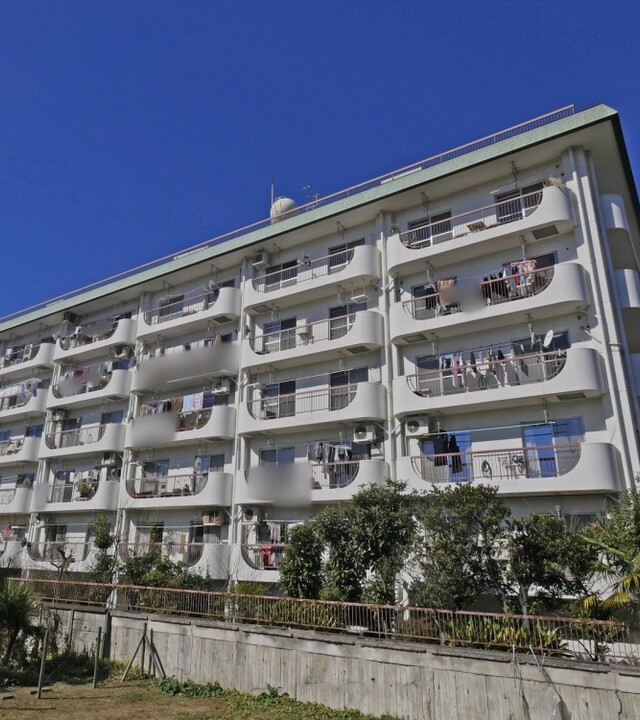 上野毛マープル松原の写真 5枚目