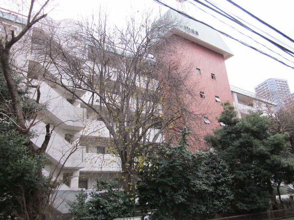 上野毛マープル松原の写真 4枚目