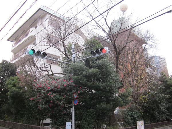 上野毛マープル松原の写真 9枚目