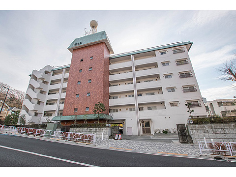 上野毛マープル松原の写真 11枚目