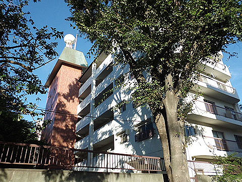 上野毛マープル松原の写真 13枚目