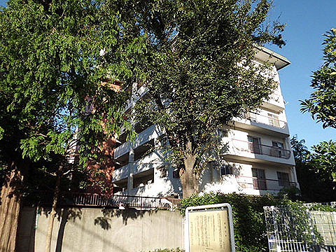 上野毛マープル松原の写真 14枚目