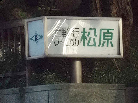 上野毛マープル松原の写真 16枚目