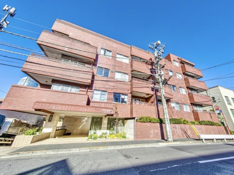 ロイヤル元麻布ガーデンの写真 13枚目