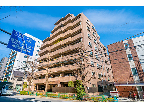 ライオンズシティ千石の写真 11枚目