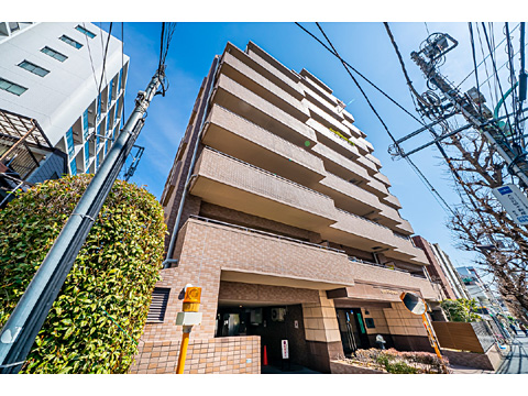 ライオンズシティ千石の写真 14枚目