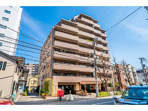 ライオンズシティ千石の写真 19枚目