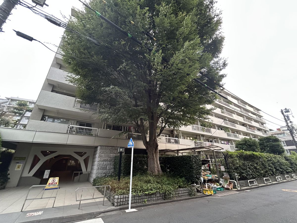 南青ハイツの写真 8枚目