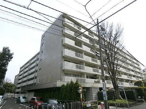 南青ハイツの写真 12枚目