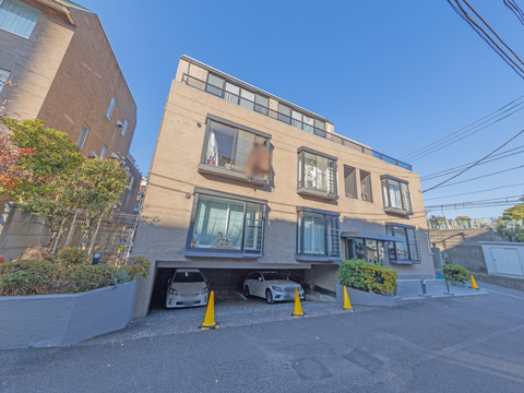 南麻布ロイヤルハイツの写真 9枚目