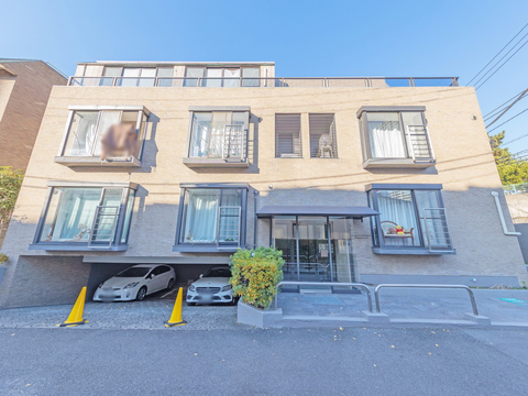 南麻布ロイヤルハイツの写真 12枚目