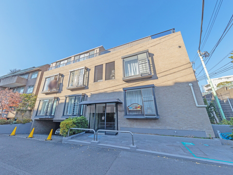 南麻布ロイヤルハイツの写真 13枚目