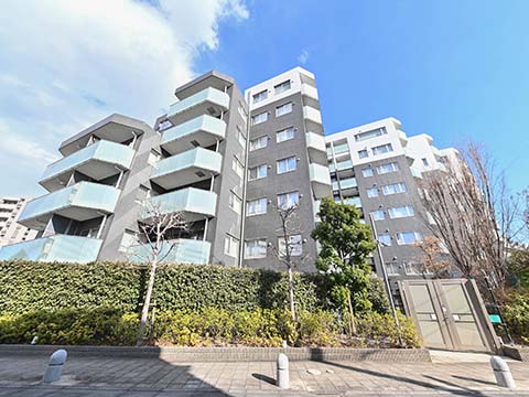 パークハウス成城の写真 13枚目