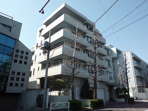 パークハイム等々力の写真 8枚目