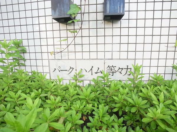 パークハイム等々力の写真 11枚目