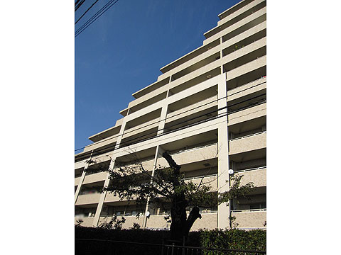 ファミールグラン代々木西原デクスターハウスの写真 6枚目