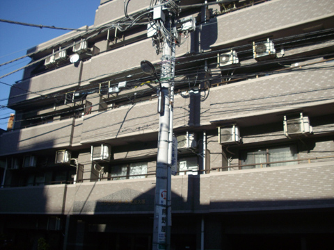 エクセルシオール文京大塚の写真 13枚目