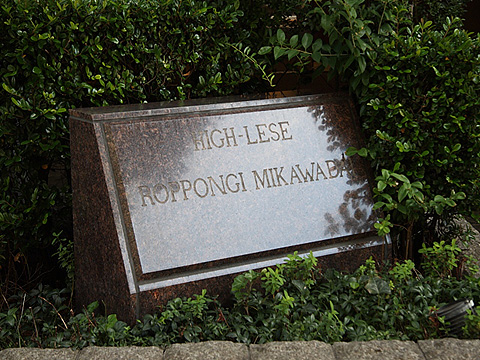 ハイレーゼ六本木三河台の写真 10枚目