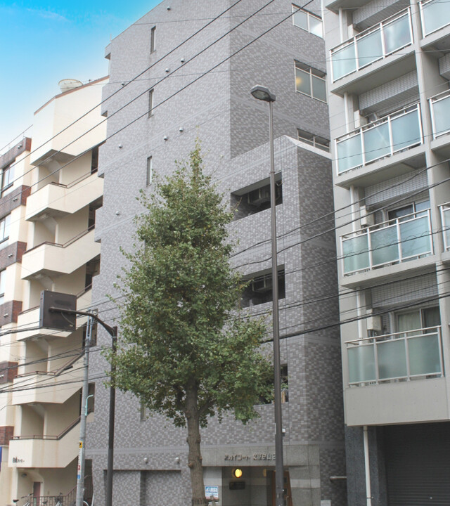 スカイコート文京白山第2の写真 3枚目