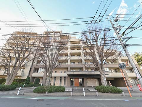 ガーデンコート成城の写真 14枚目