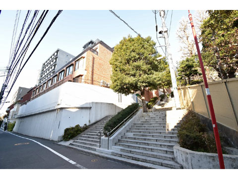 バルミー赤坂の写真 15枚目