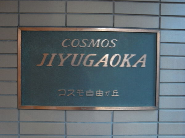 コスモ自由が丘の写真 10枚目