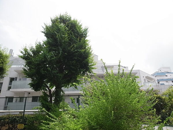 ブランズ六本木の写真 5枚目